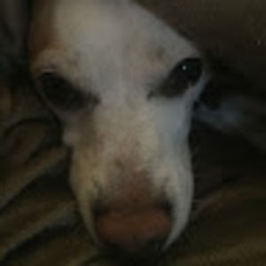 Meet your Posher, Kimmy